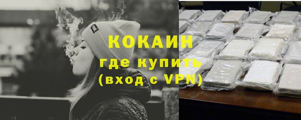 индика Рославль