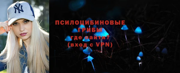 apvp Россошь