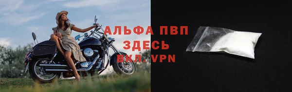 индика Рославль