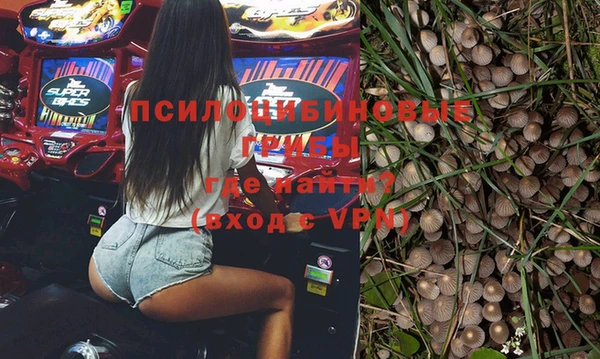 apvp Россошь