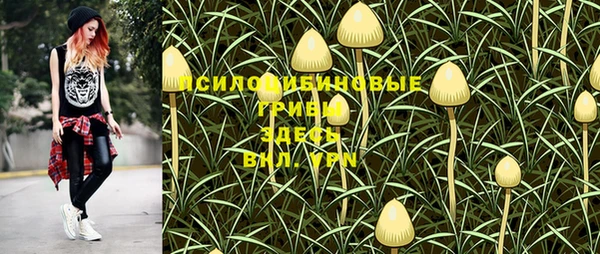 индика Рославль