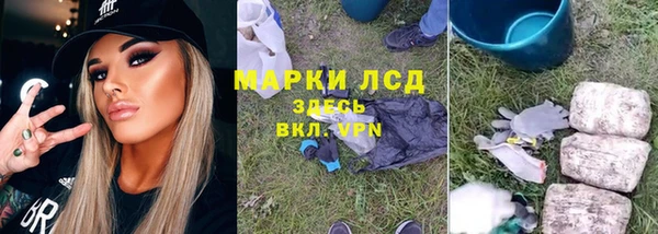 индика Рославль