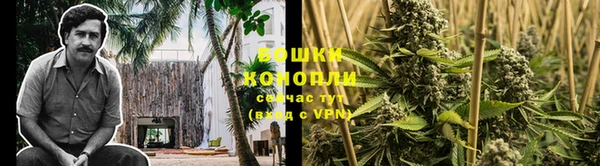 индика Рославль