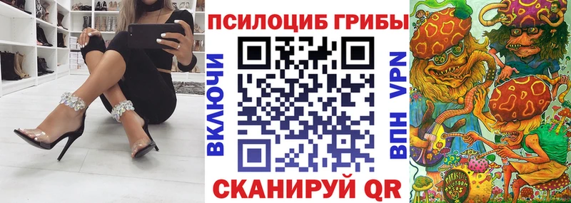 где продают наркотики  Шахунья  Псилоцибиновые грибы Magic Shrooms 